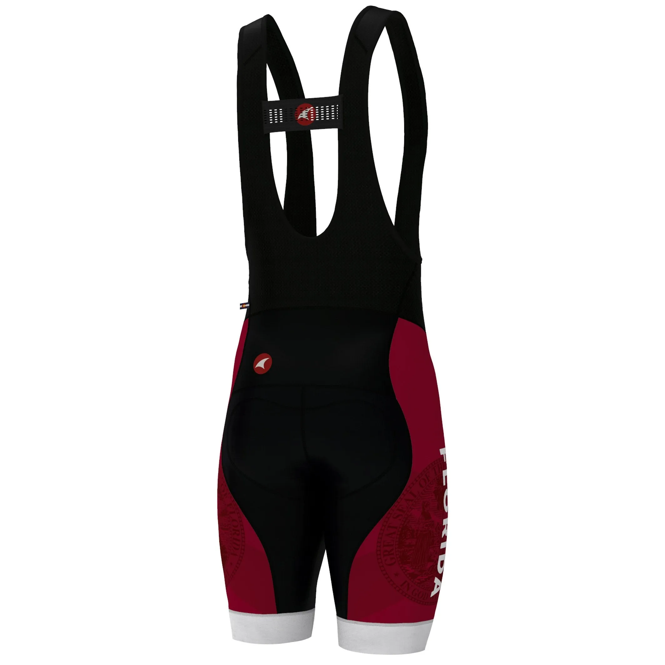 Ascent Vector Bibs Men's - Florida