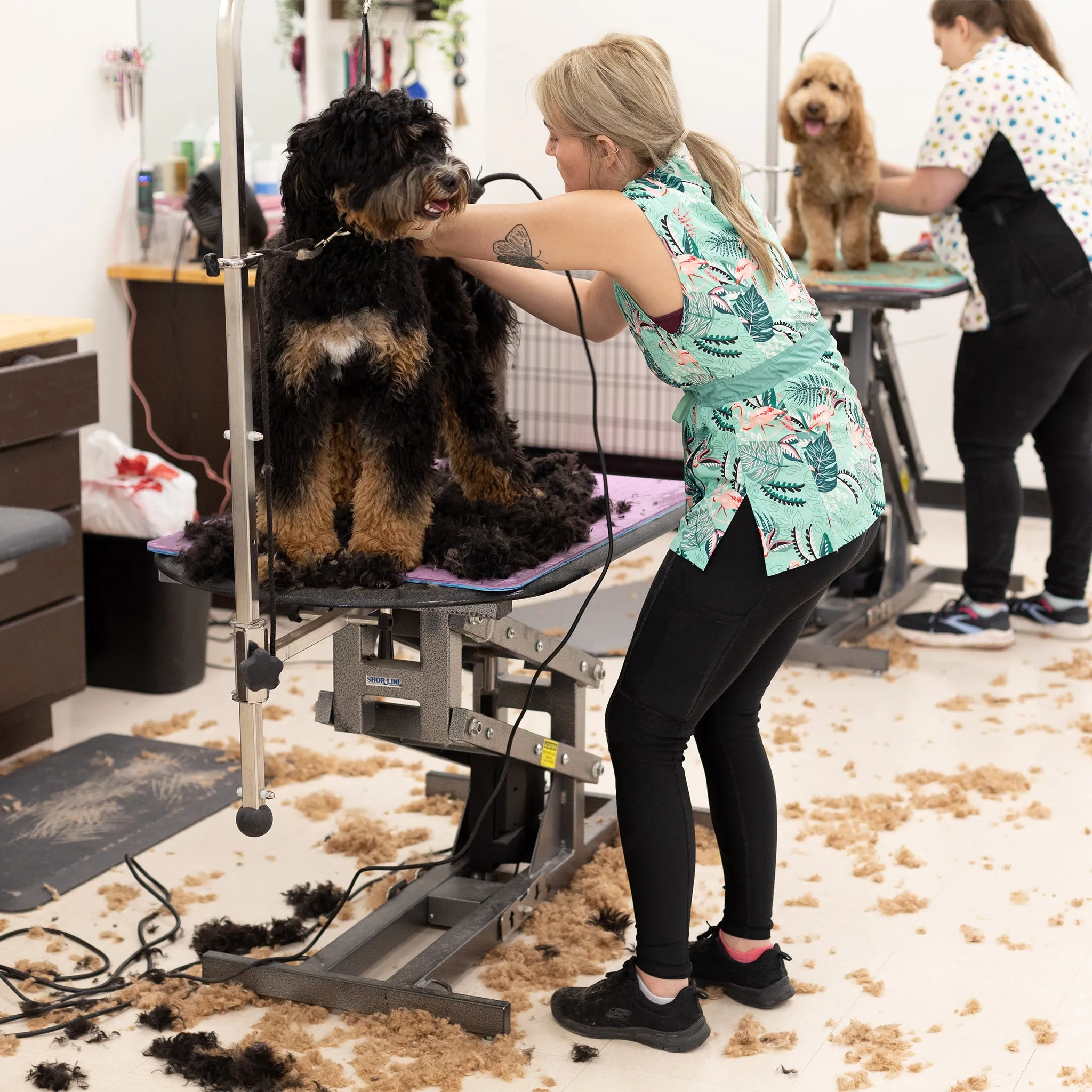 Hair-Resistant Black Leggings