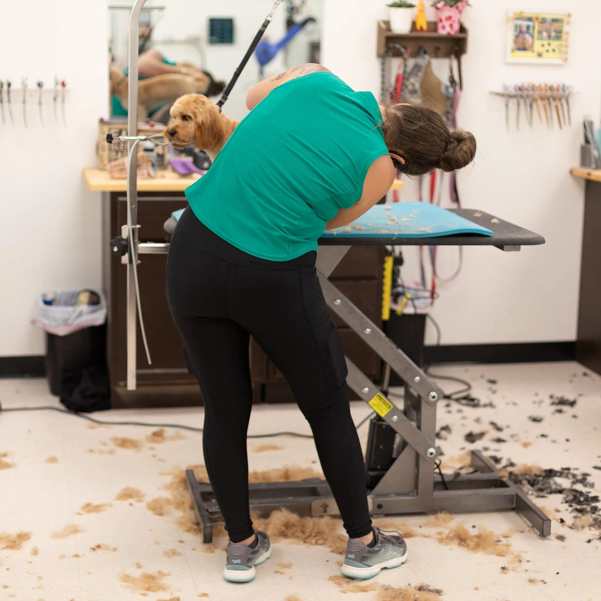 Hair-Resistant Black Leggings