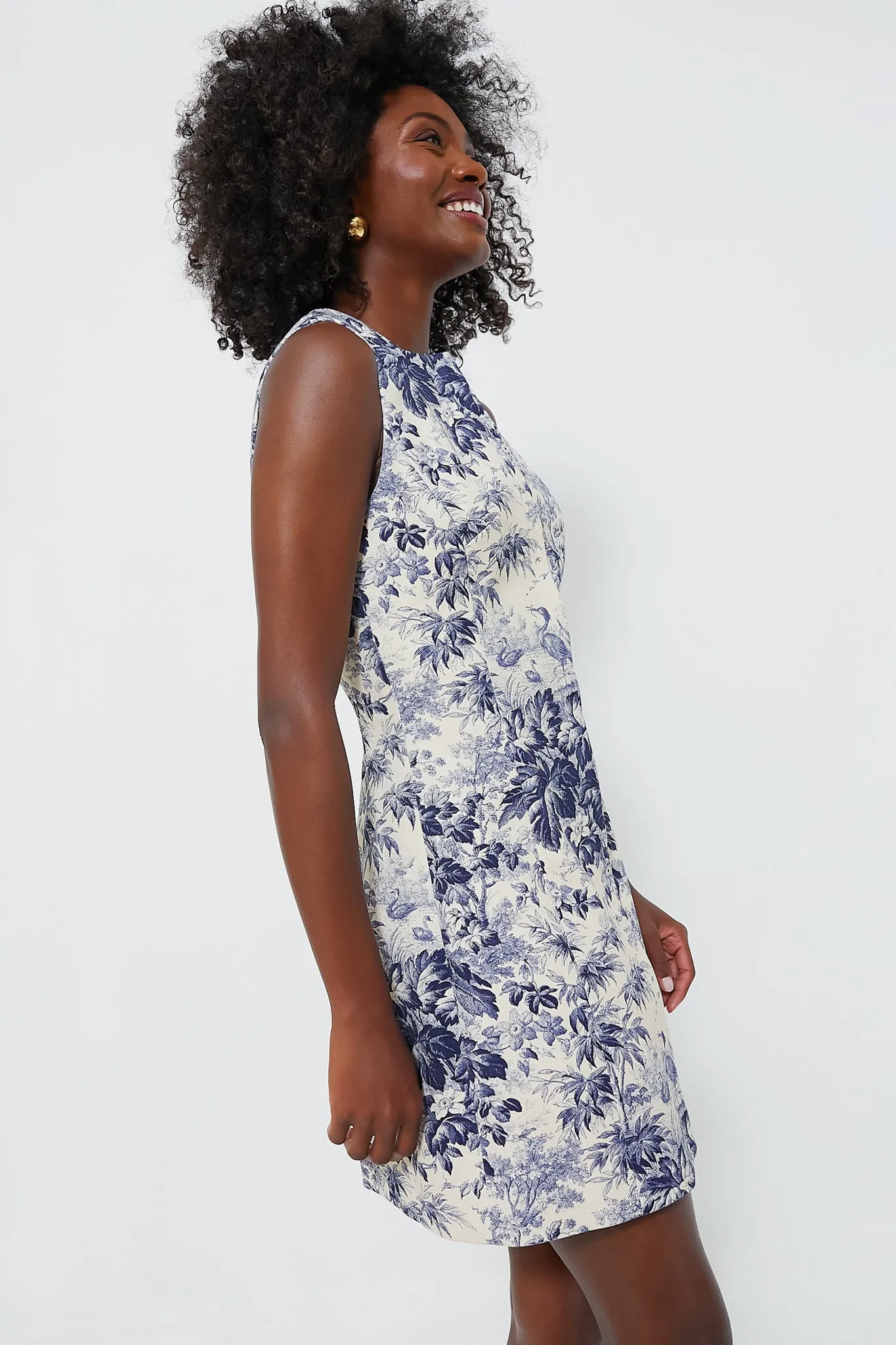 Navy Toile Maison Dress